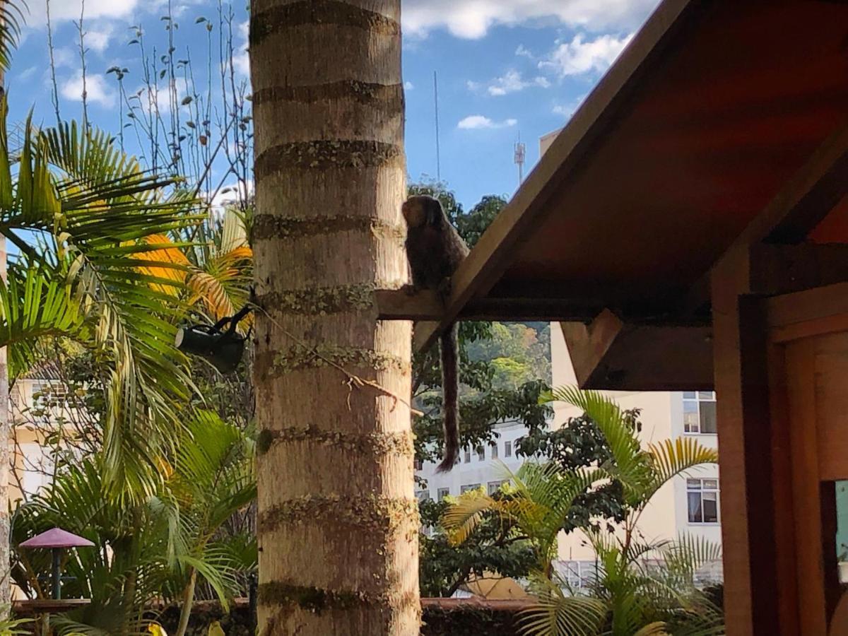 Pataca De Prata - De época Hotel
